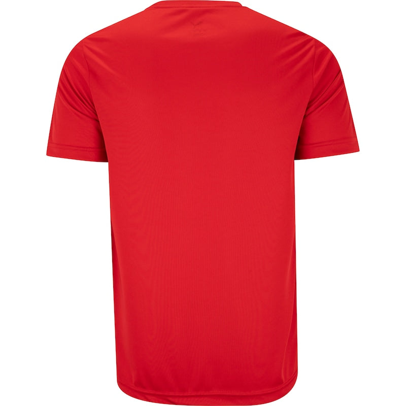 Camiseta Masculina Puma Manga Curta Vermelha