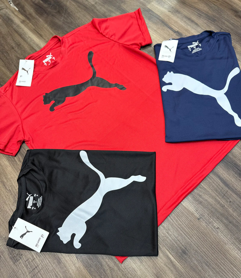 Camiseta Puma Dri-FIT