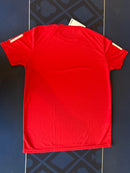 Camiseta Adidas Vermelha Badge of Sport